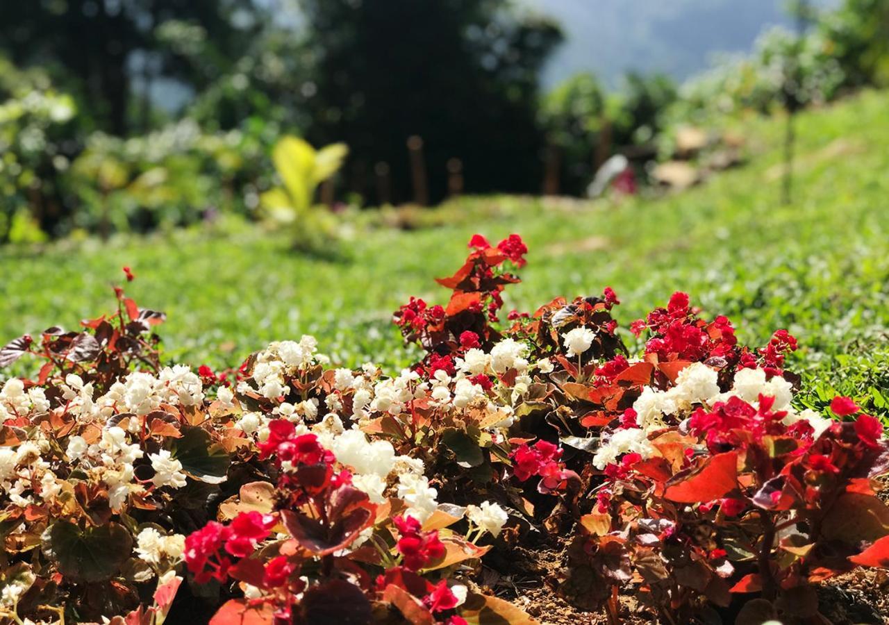 Dolape Villa Ella Kültér fotó